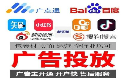 行业领先企业的SEM代理案例剖析